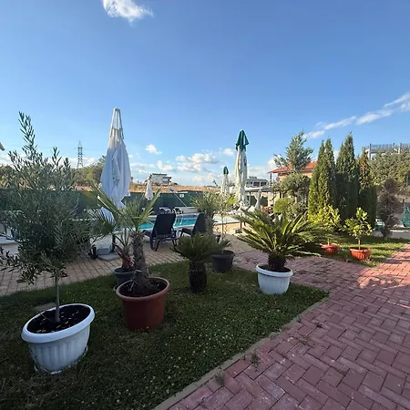 за гости Dream Kurdzhali