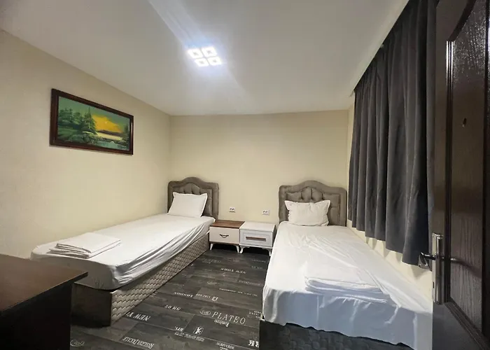 за гости Dream Kurdzhali