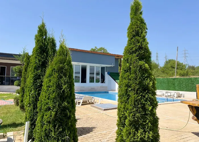 за гости Dream