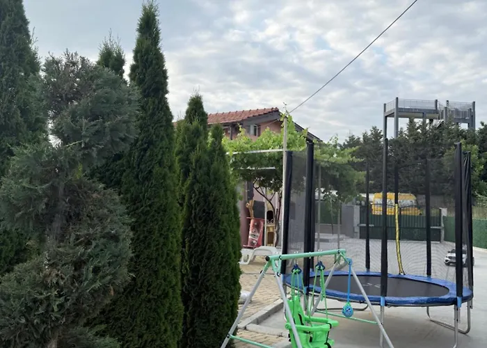 за гости Dream Kurdzhali